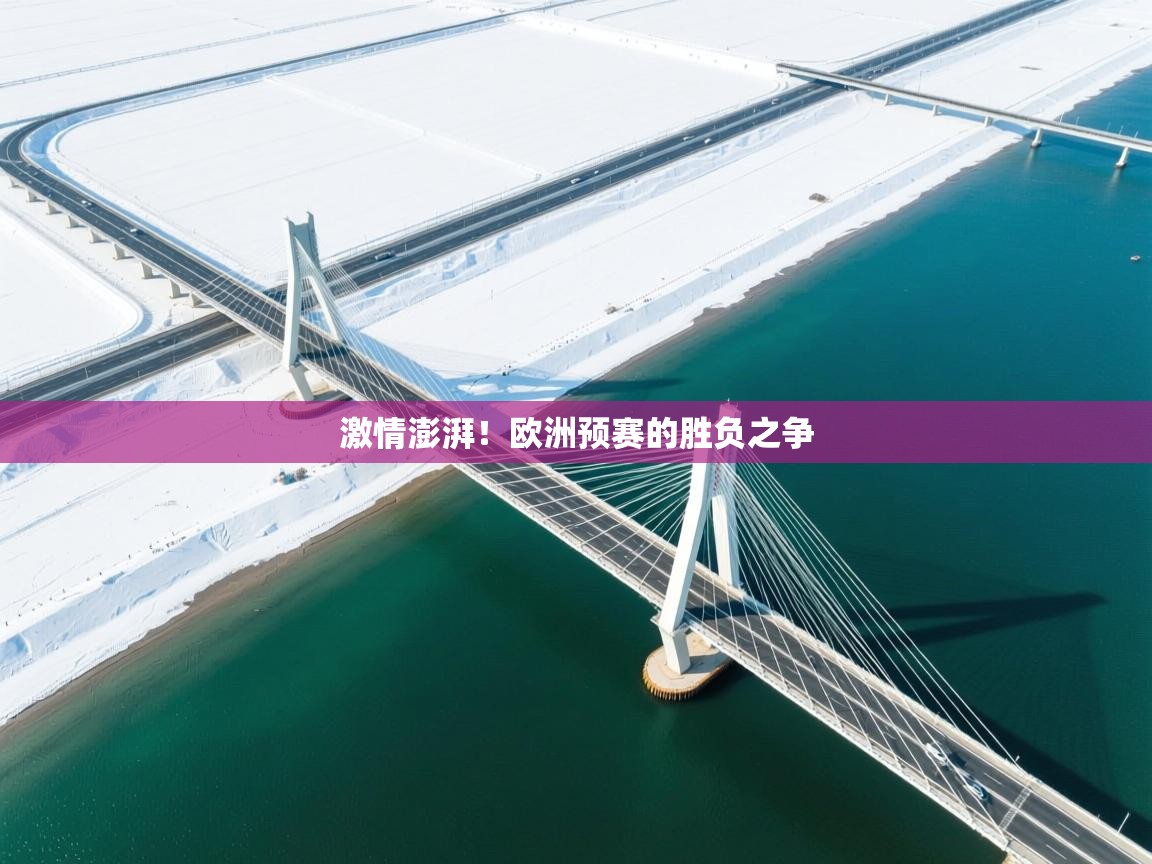 开云体育直播平台-激情澎湃！欧洲预赛的胜负之争