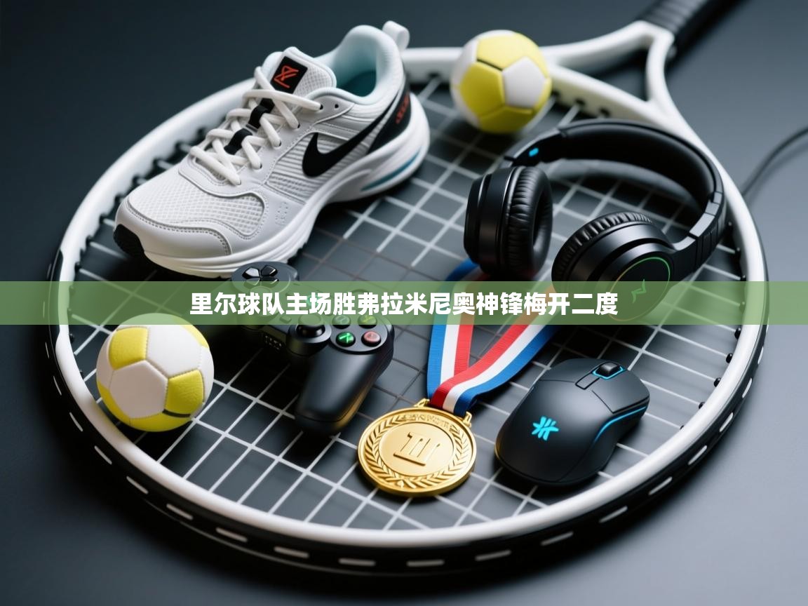 开云体育app登录入口-里尔球队主场胜弗拉米尼奥神锋梅开二度  第2张