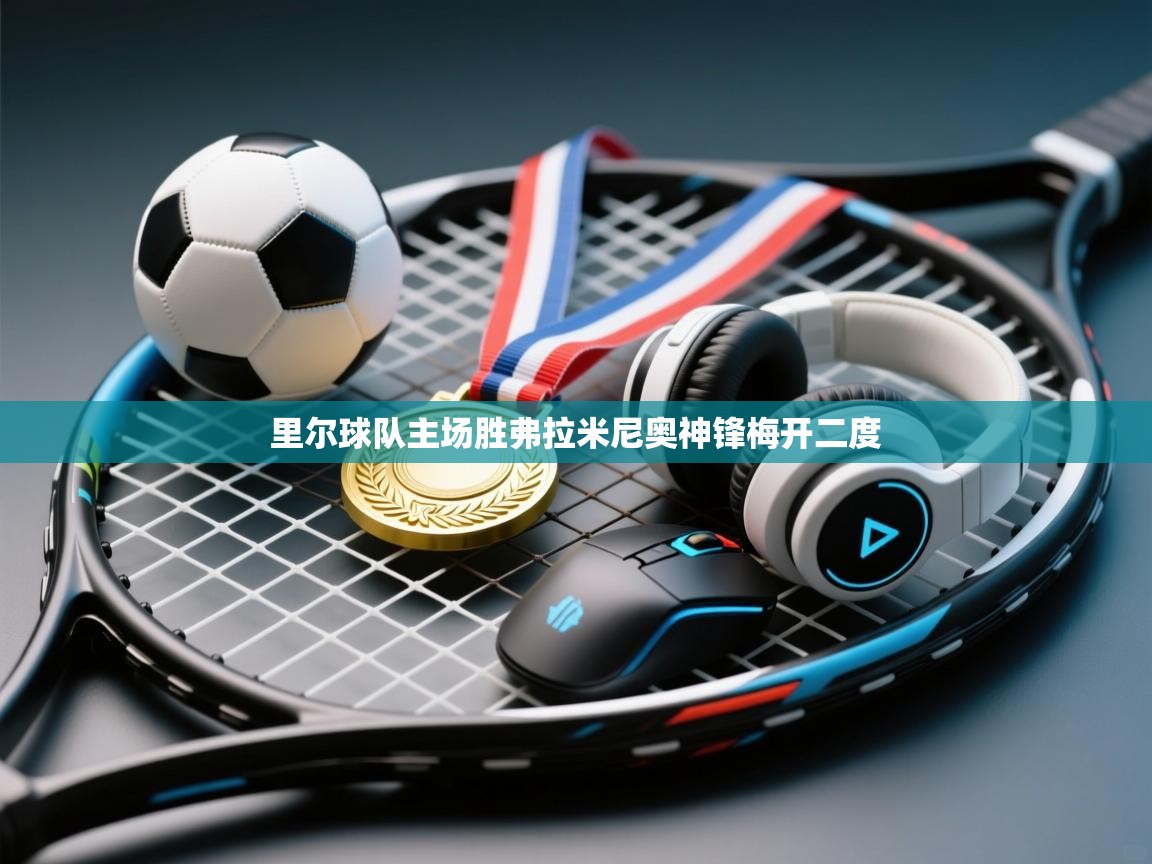 开云体育app登录入口-里尔球队主场胜弗拉米尼奥神锋梅开二度  第3张