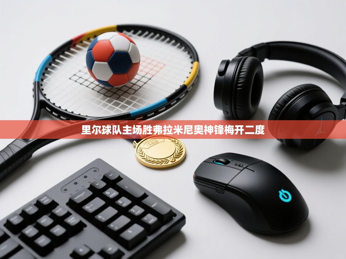 开云体育app登录入口-里尔球队主场胜弗拉米尼奥神锋梅开二度  第4张