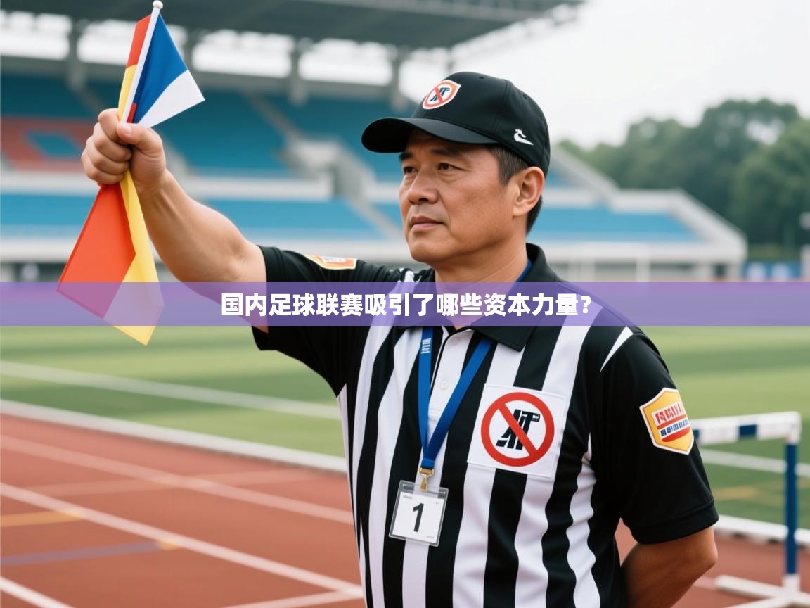 开云·体育app中国官方网站-国内足球联赛吸引了哪些资本力量？  第2张