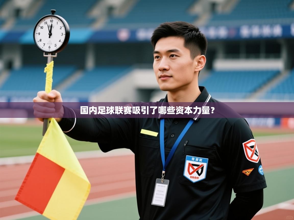 开云·体育app中国官方网站-国内足球联赛吸引了哪些资本力量？  第4张