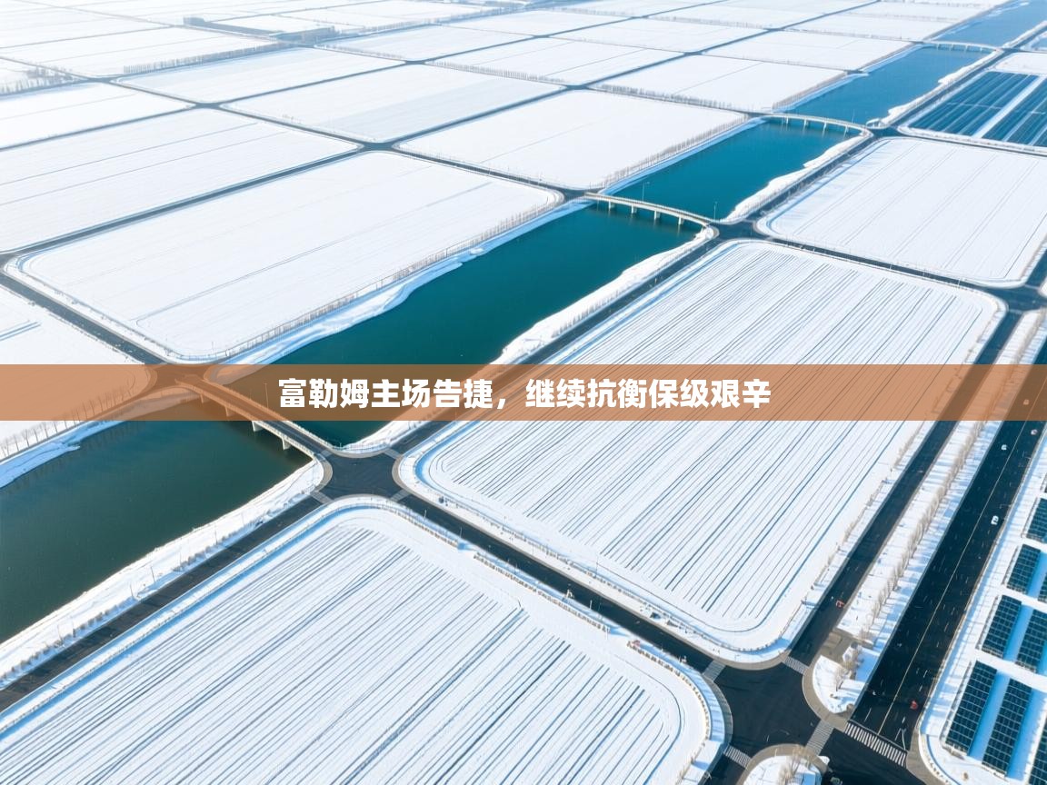 开云体育在线下载-富勒姆主场告捷,继续抗衡保级艰辛 第1张