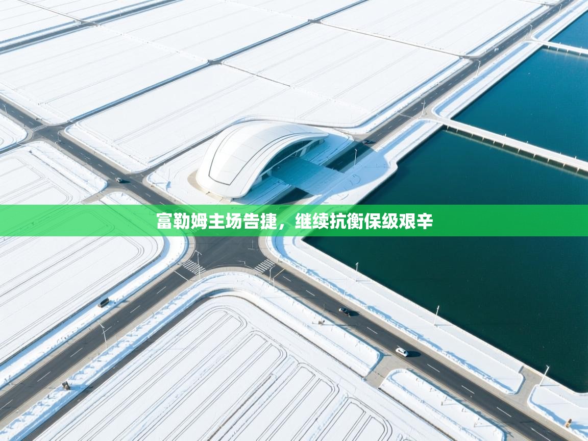 开云体育在线下载-富勒姆主场告捷,继续抗衡保级艰辛 第4张