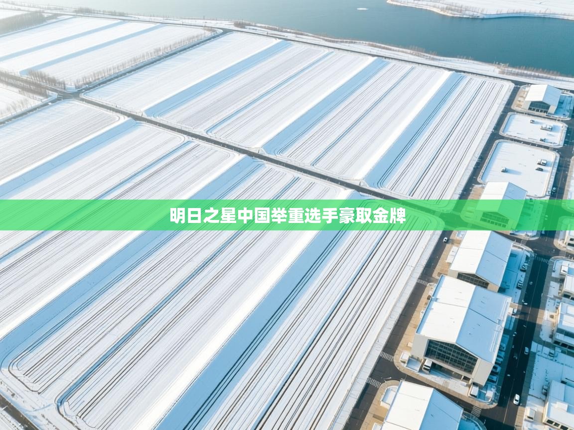 开云体育夜间模式开启-明日之星中国举重选手豪取金牌  第1张