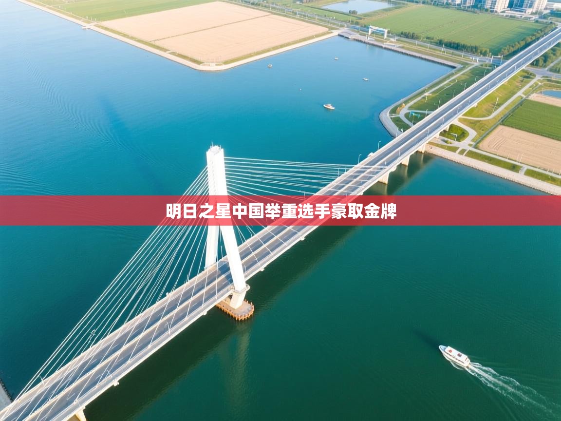 开云体育夜间模式开启-明日之星中国举重选手豪取金牌  第2张