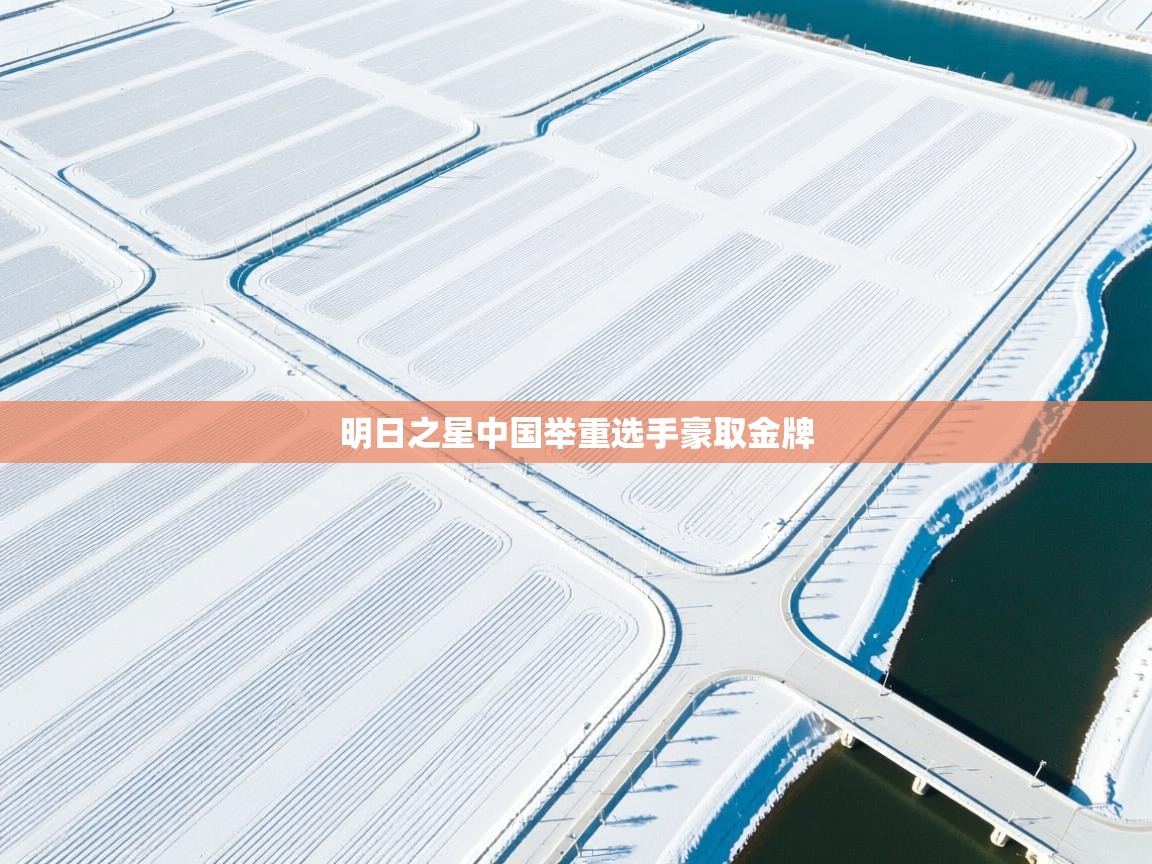 开云体育夜间模式开启-明日之星中国举重选手豪取金牌  第3张