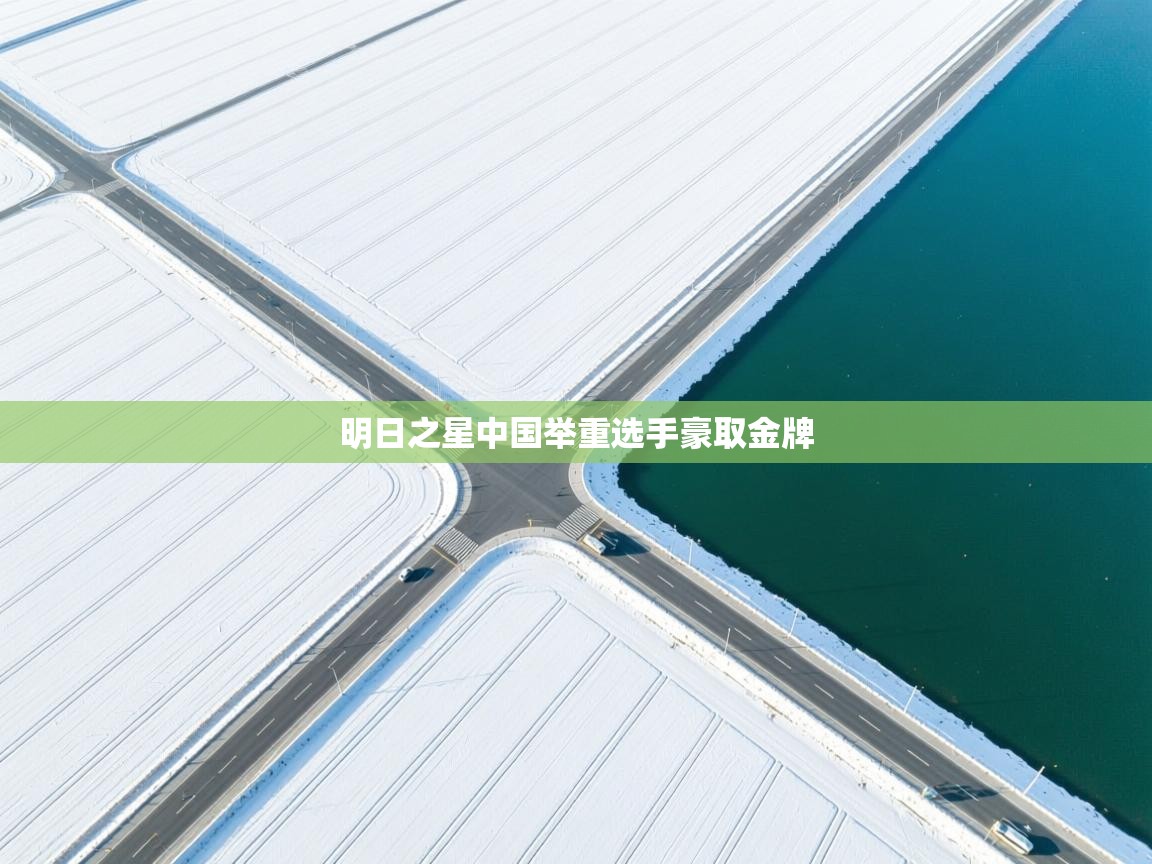 开云体育夜间模式开启-明日之星中国举重选手豪取金牌  第4张