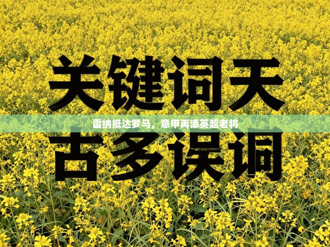 开云体育苹果版下载-雷纳抵达罗马，意甲再添英超老将  第2张