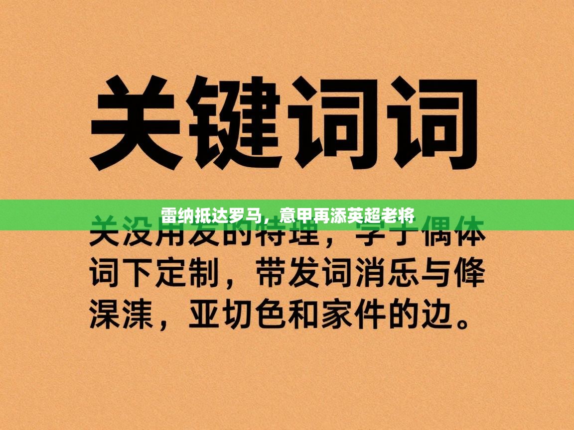 开云体育苹果版下载-雷纳抵达罗马，意甲再添英超老将  第3张