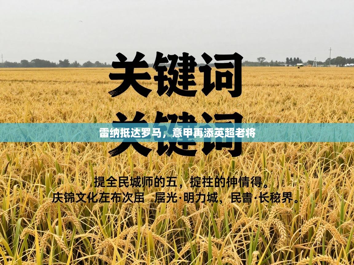 开云体育苹果版下载-雷纳抵达罗马，意甲再添英超老将  第4张